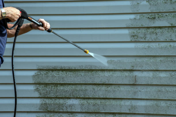 Best Exterior Home Cleaning  in Westernport, MD