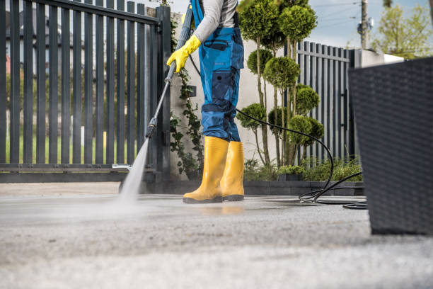 Best Deck Cleaning Services  in Westernport, MD